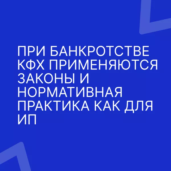 Основные требования при банкротстве КФХ